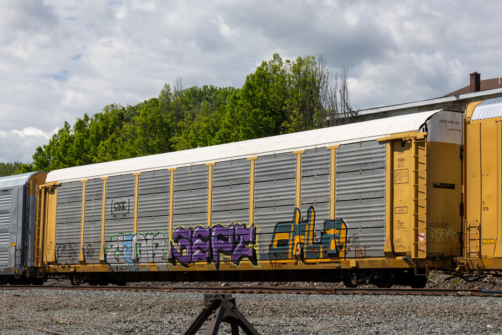 TTGX 971461