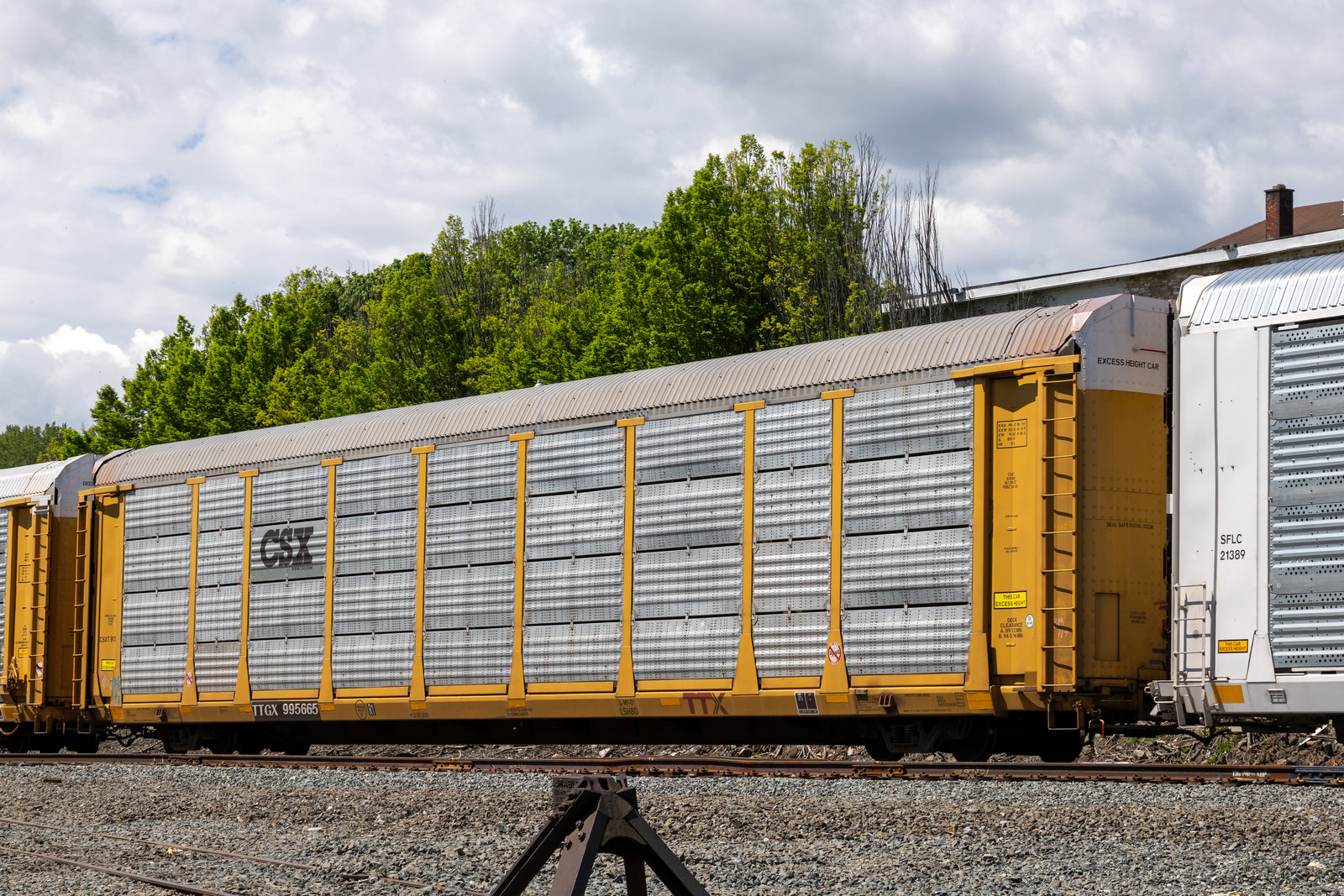 TTGX 995665