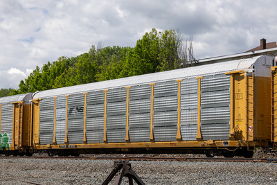 TTGX 973797