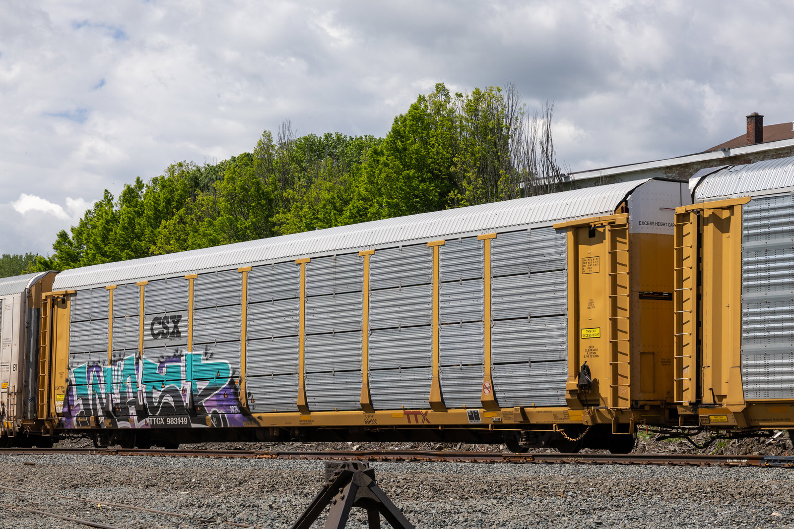 TTGX 983149