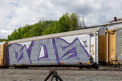 TTGX 985609