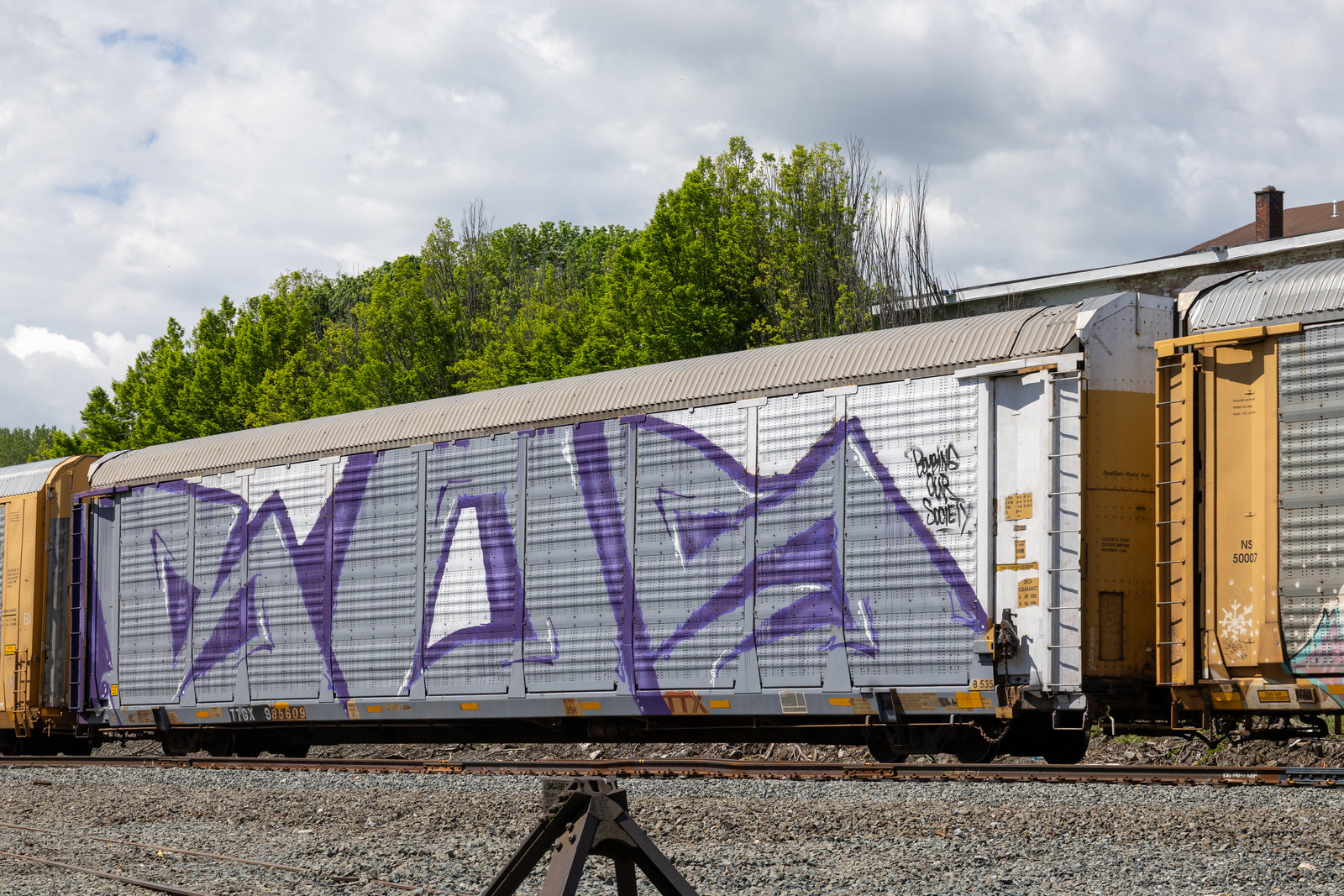TTGX 985609