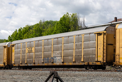 TTGX 982413