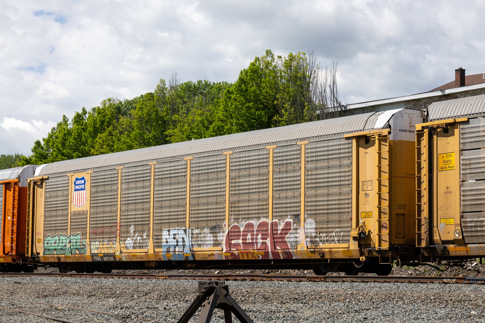 TTGX 995196