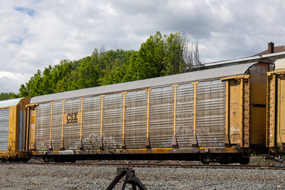 TTGX 978818