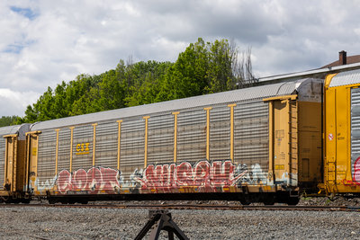 TTGX 986049