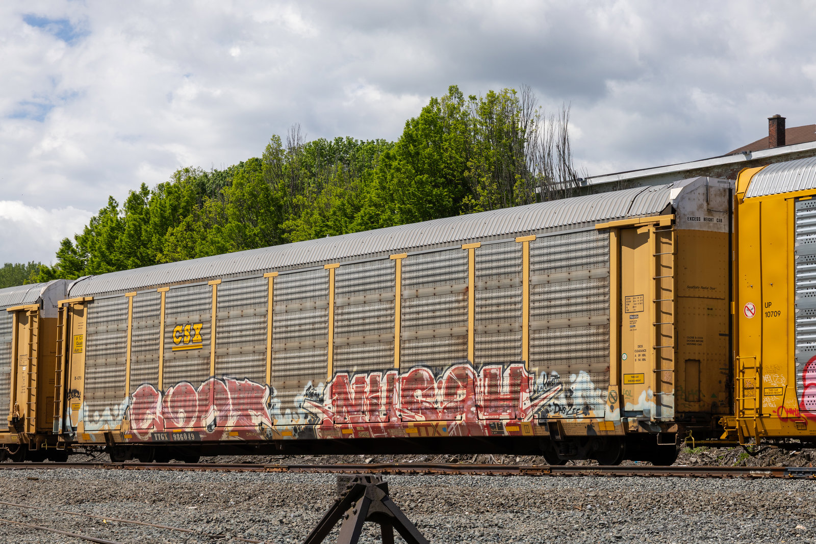 TTGX 986049