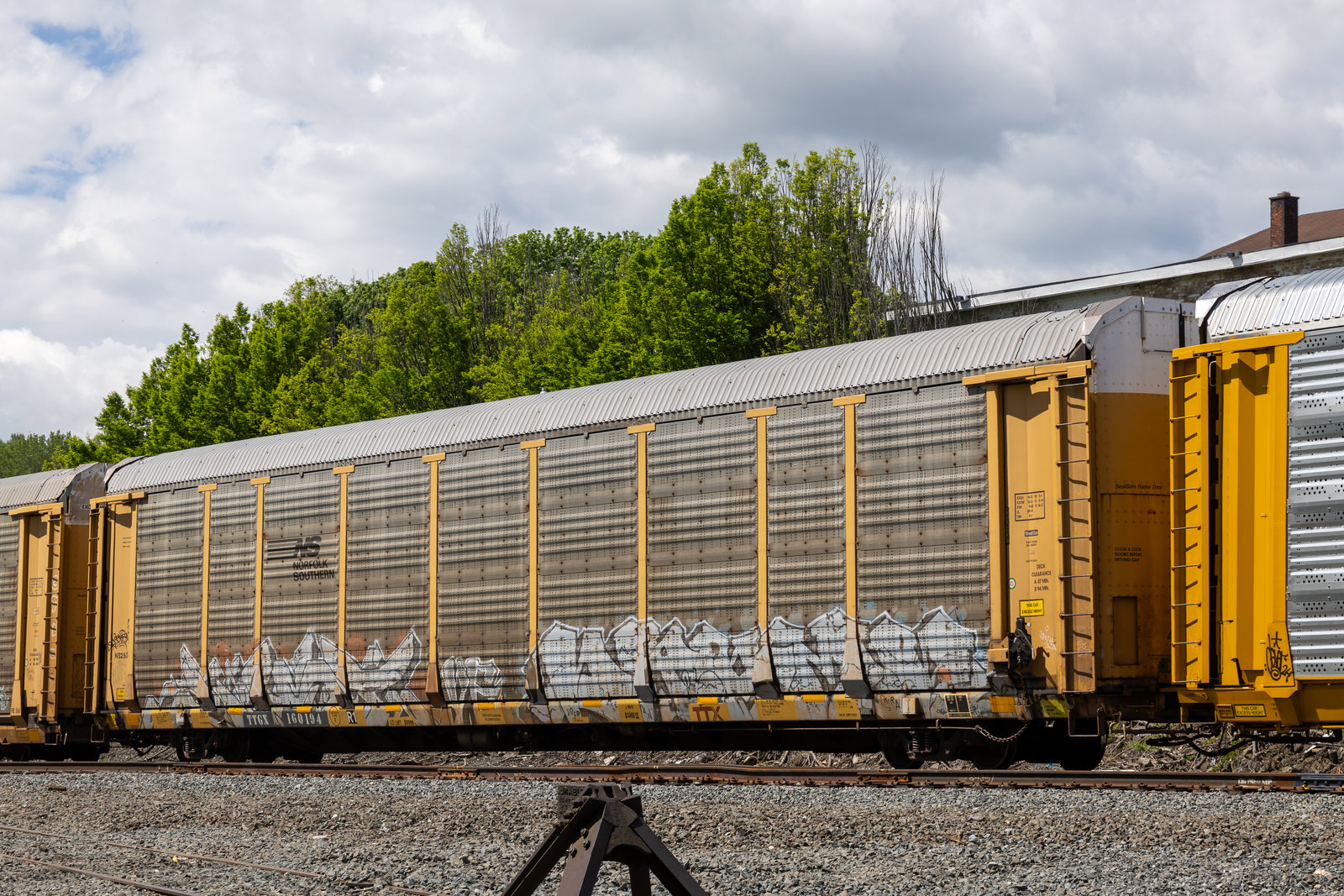 TTGX 160194