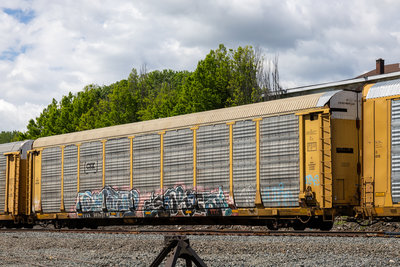 TTGX 963057