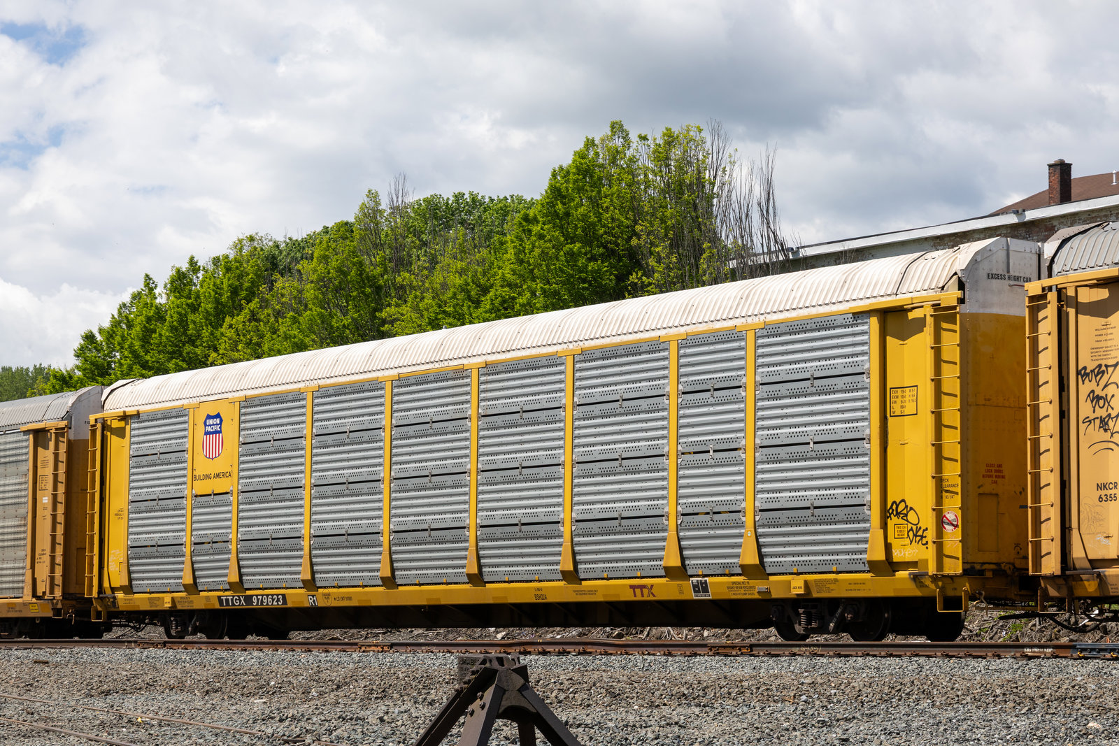 TTGX 979623