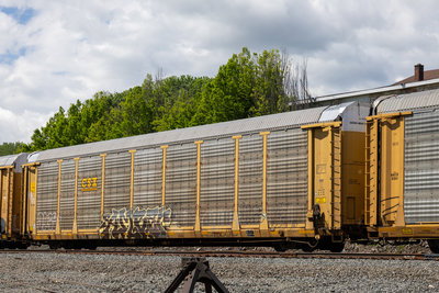TTGX 995993
