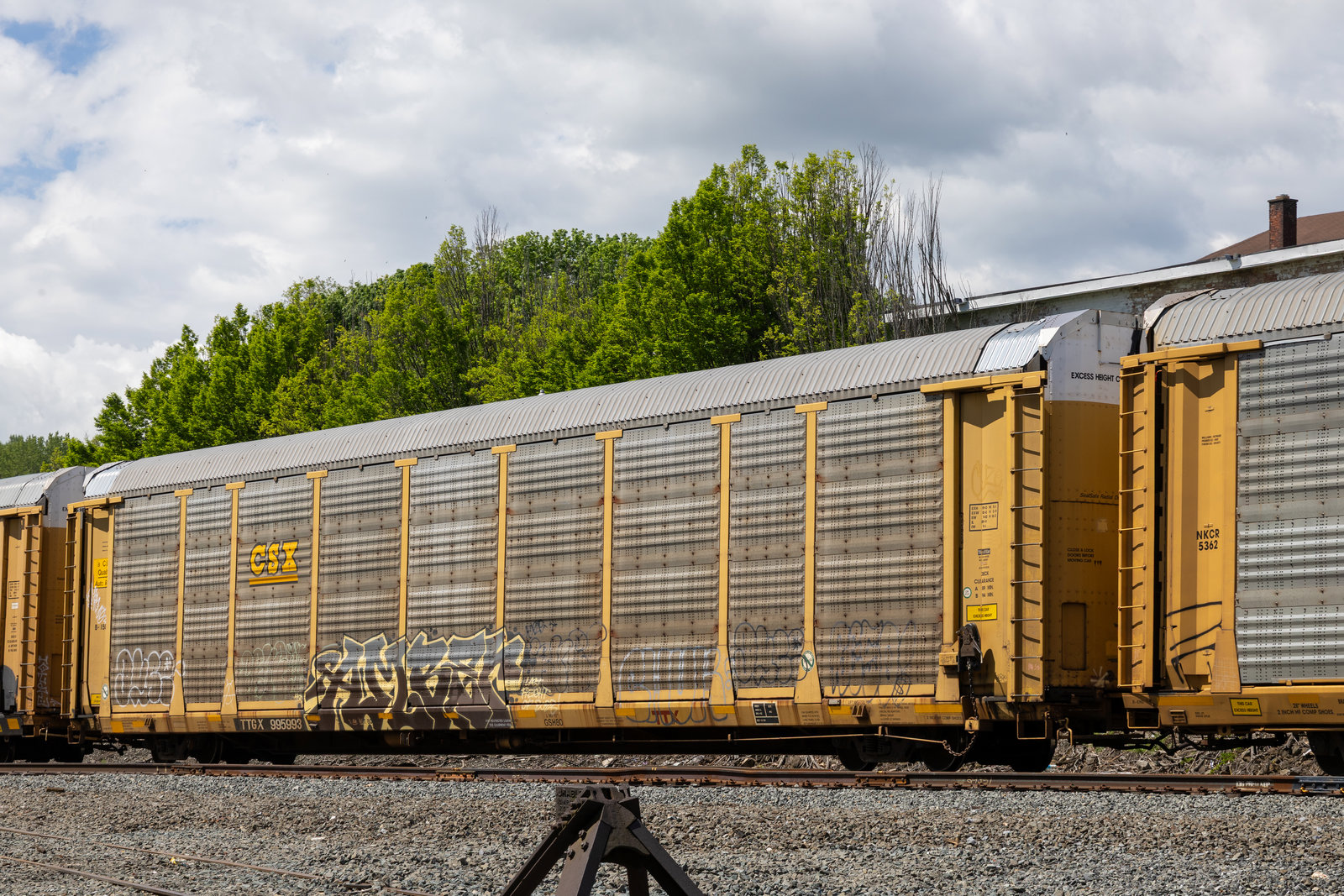 TTGX 995993