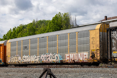 TTGX 716306