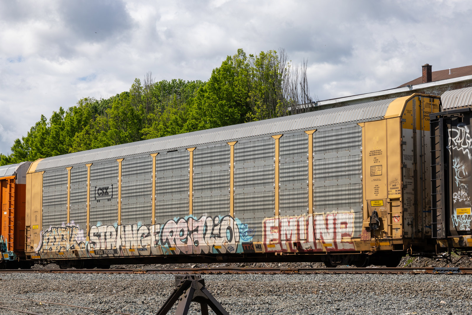 TTGX 716306