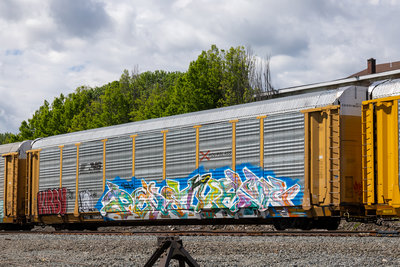 TTGX 708424