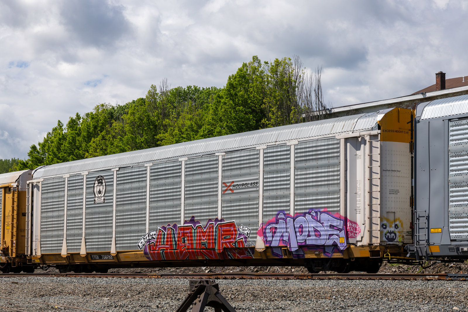 TTGX 708753