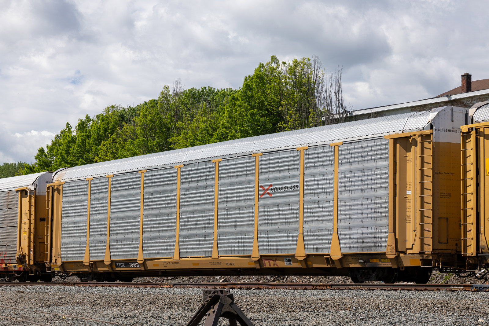 TTGX 701811