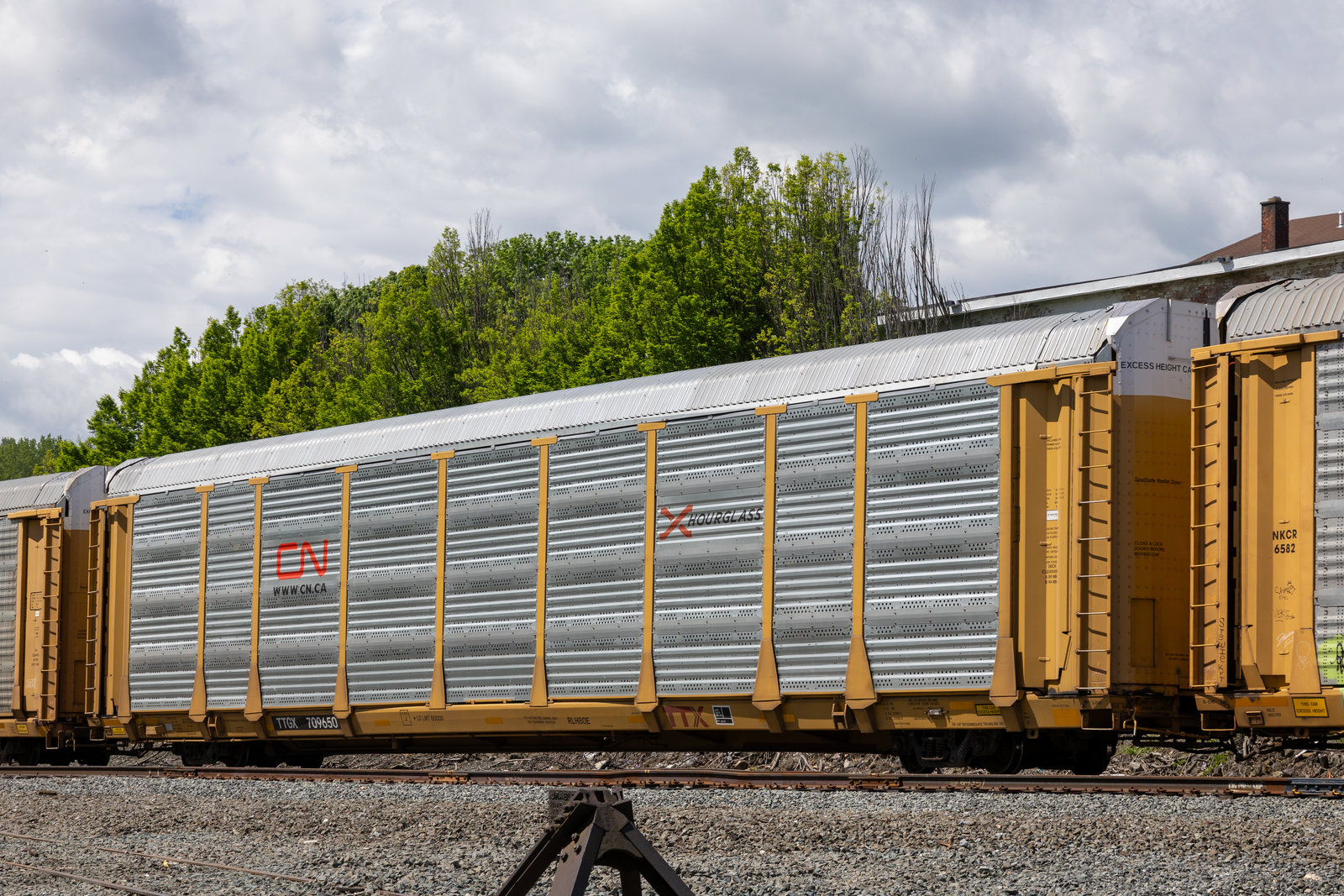 TTGX 709650