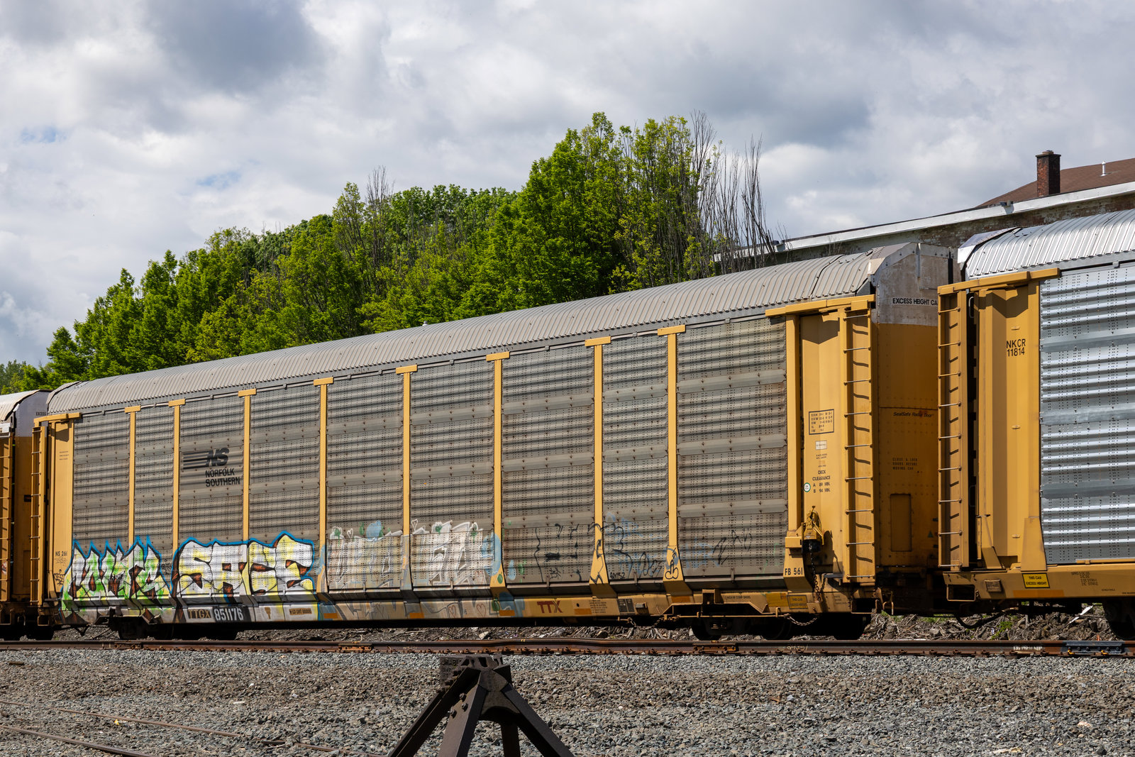 TTGX 851176