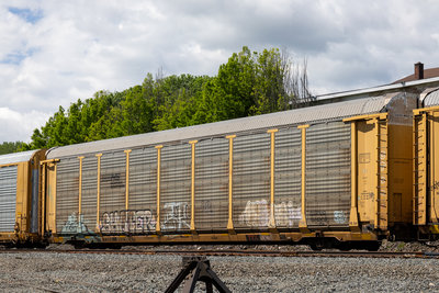TTGX 851715