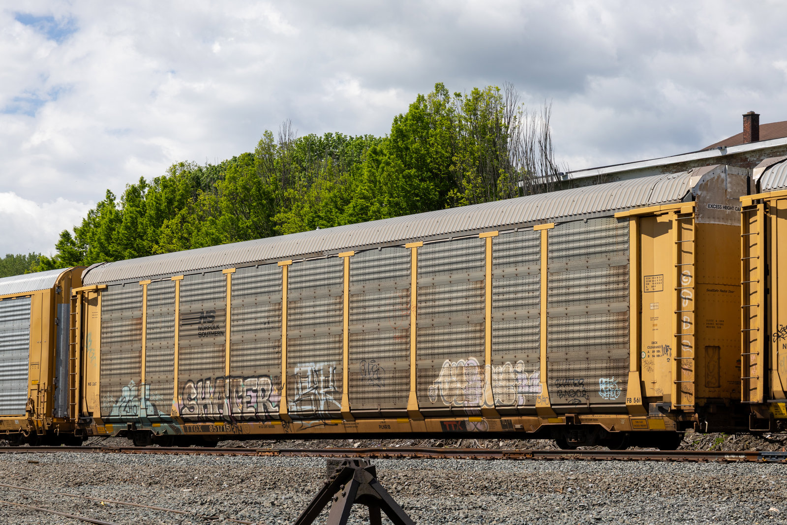 TTGX 851715