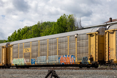CNA 712787
