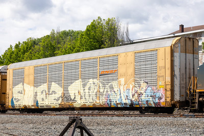 CTTX 691996
