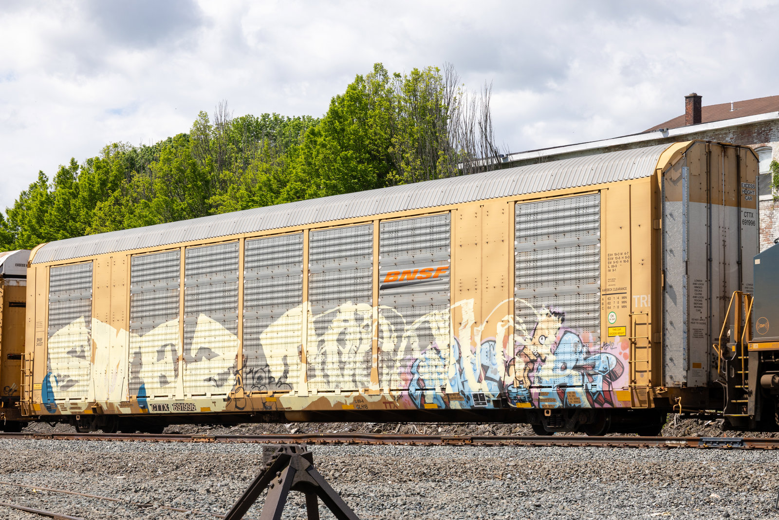 CTTX 691996