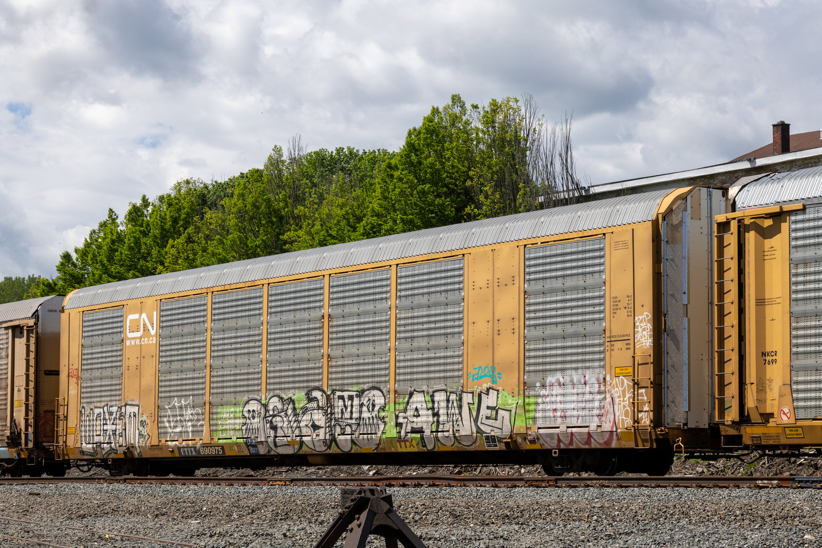 CTTX 690975