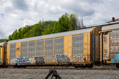 CTTX 694609