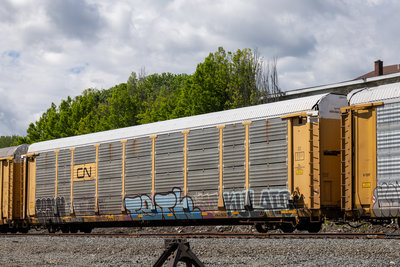 GTW 504231
