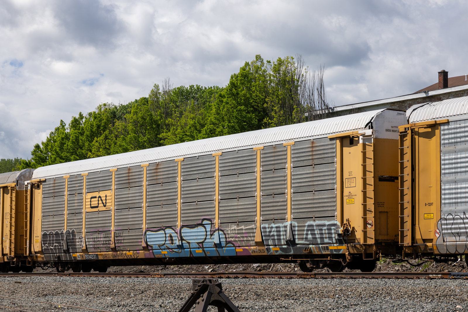 GTW 504231