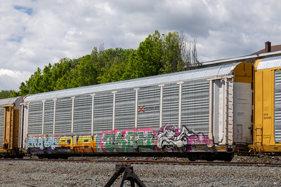NKCR 10090