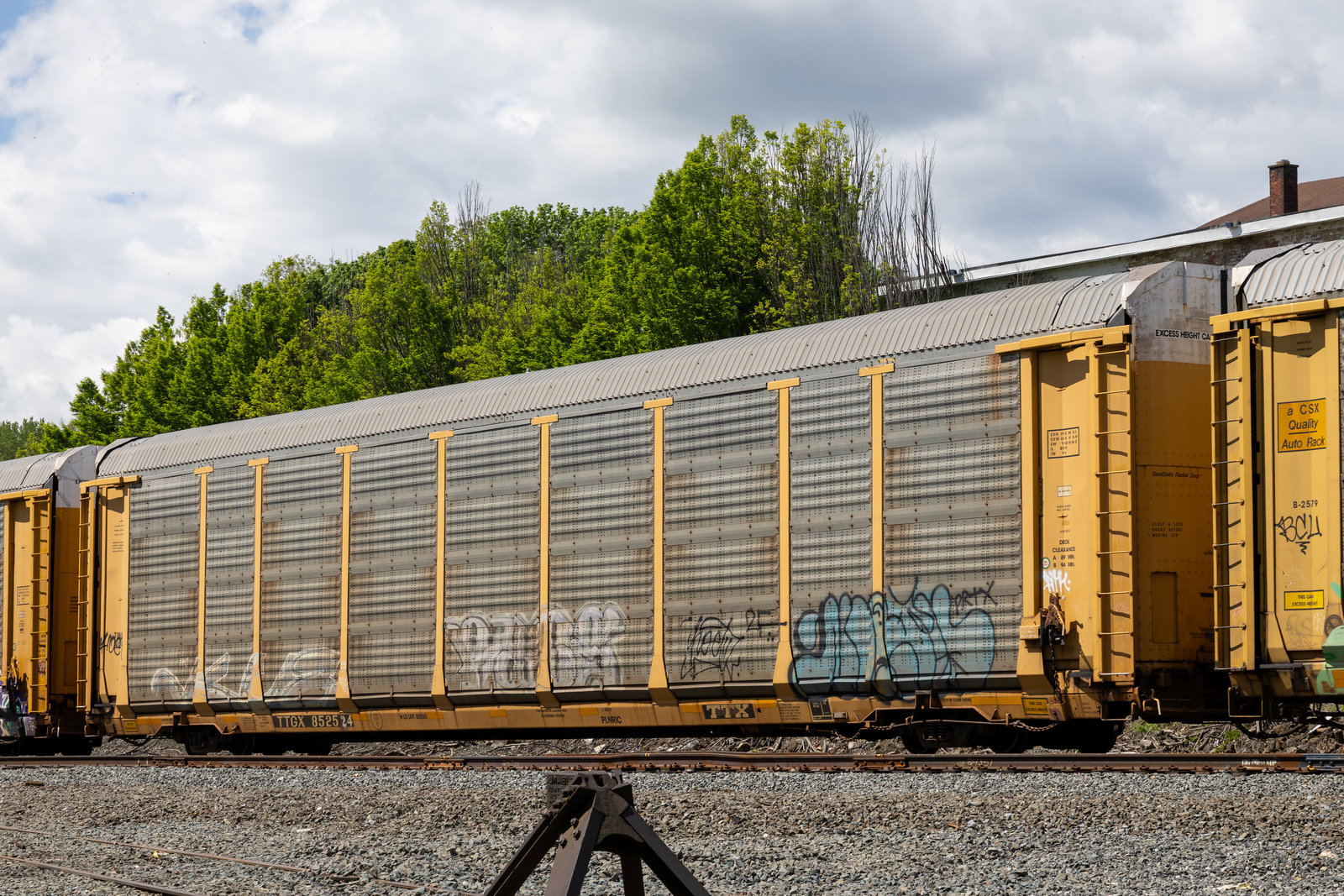 TTGX 852524