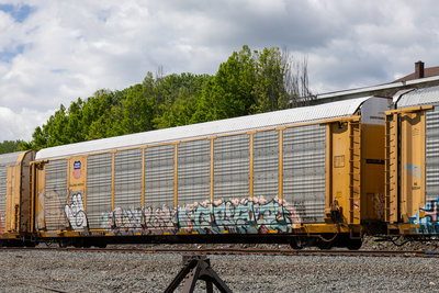 TTGX 990477