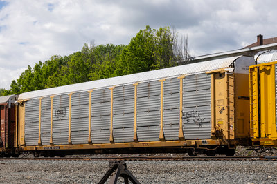 TTGX 971342