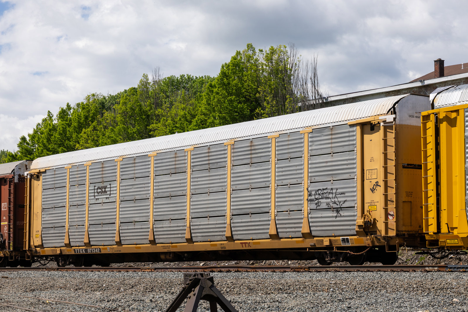 TTGX 971342