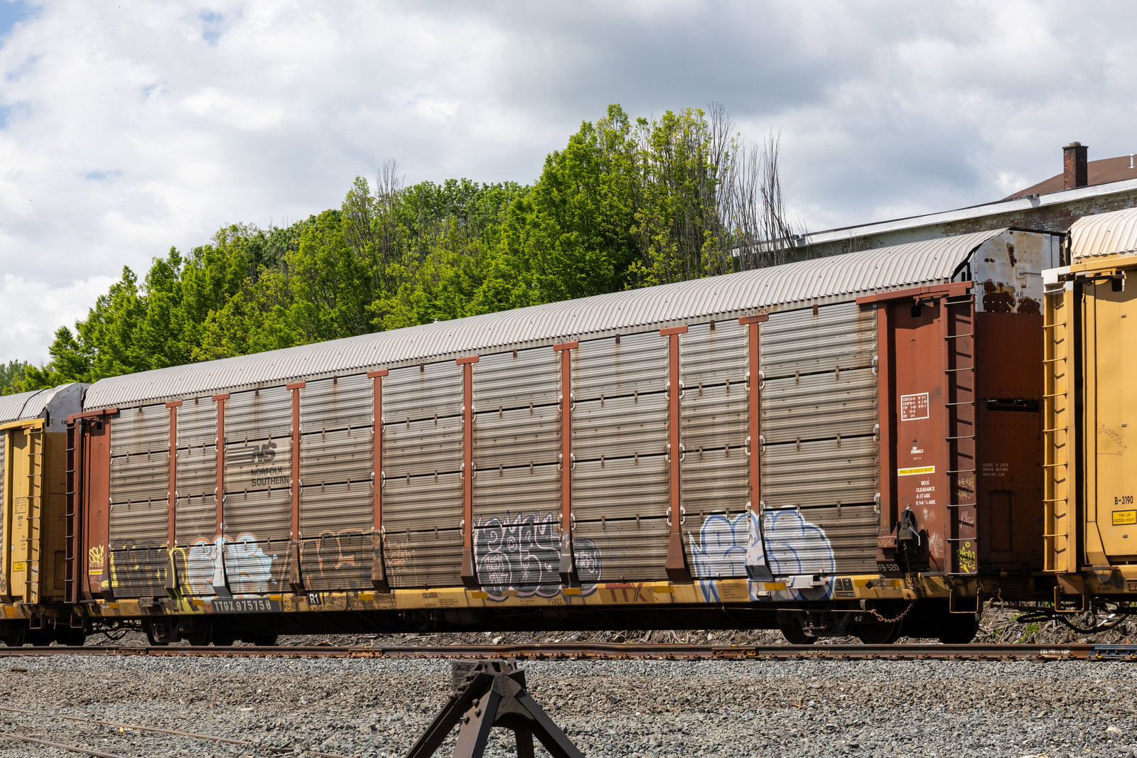 TTGX 975758