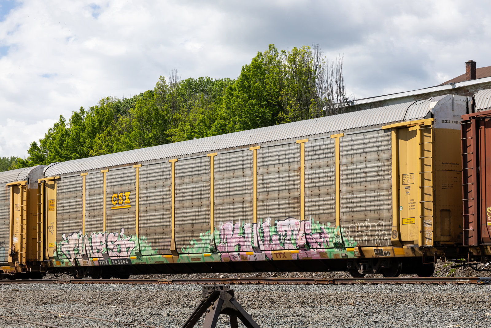 TTGX 993606