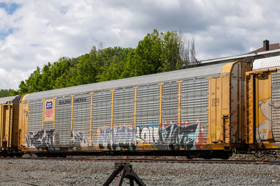 TTGX 715519