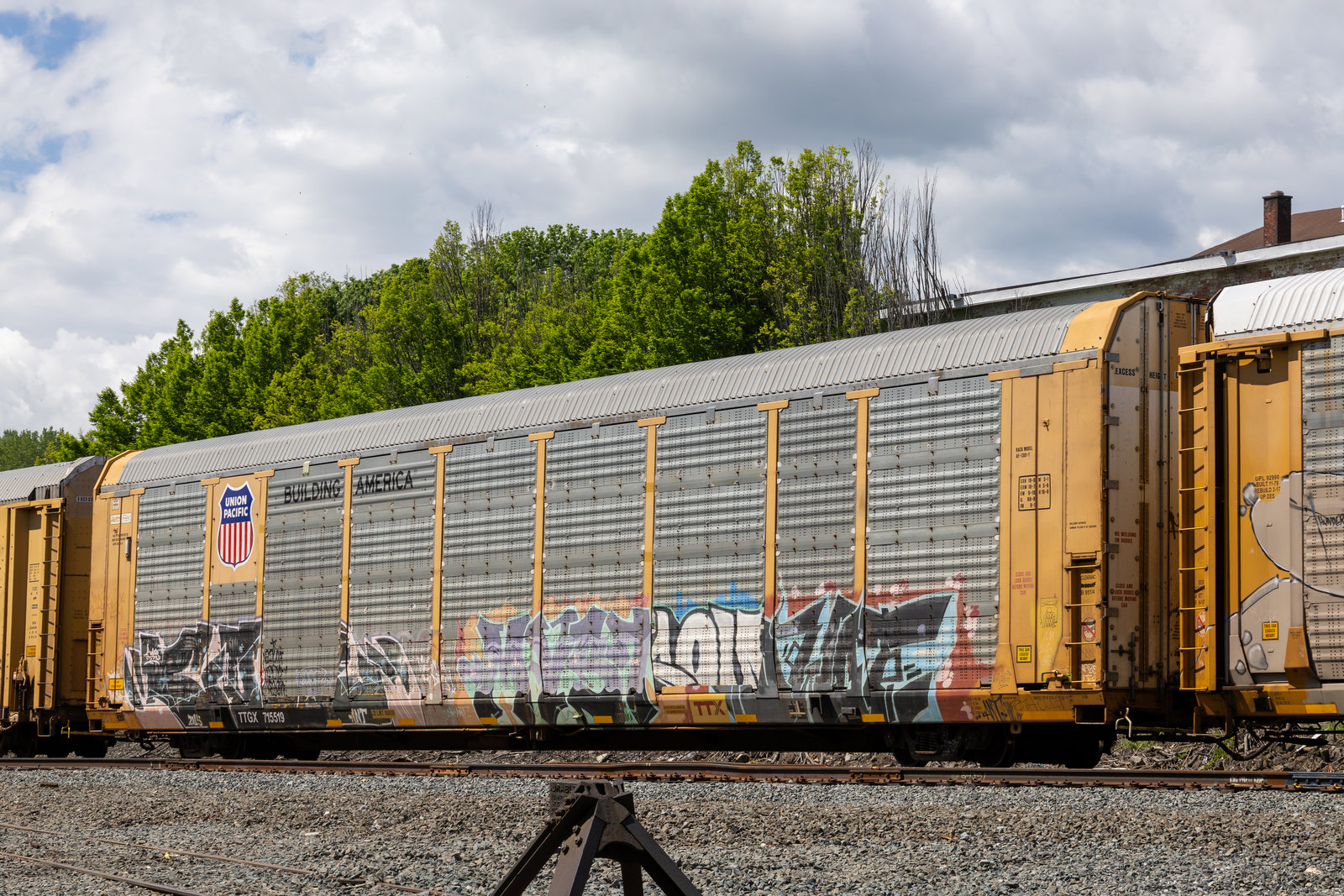 TTGX 715519