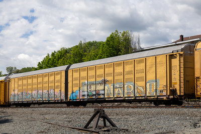 FXE 210032