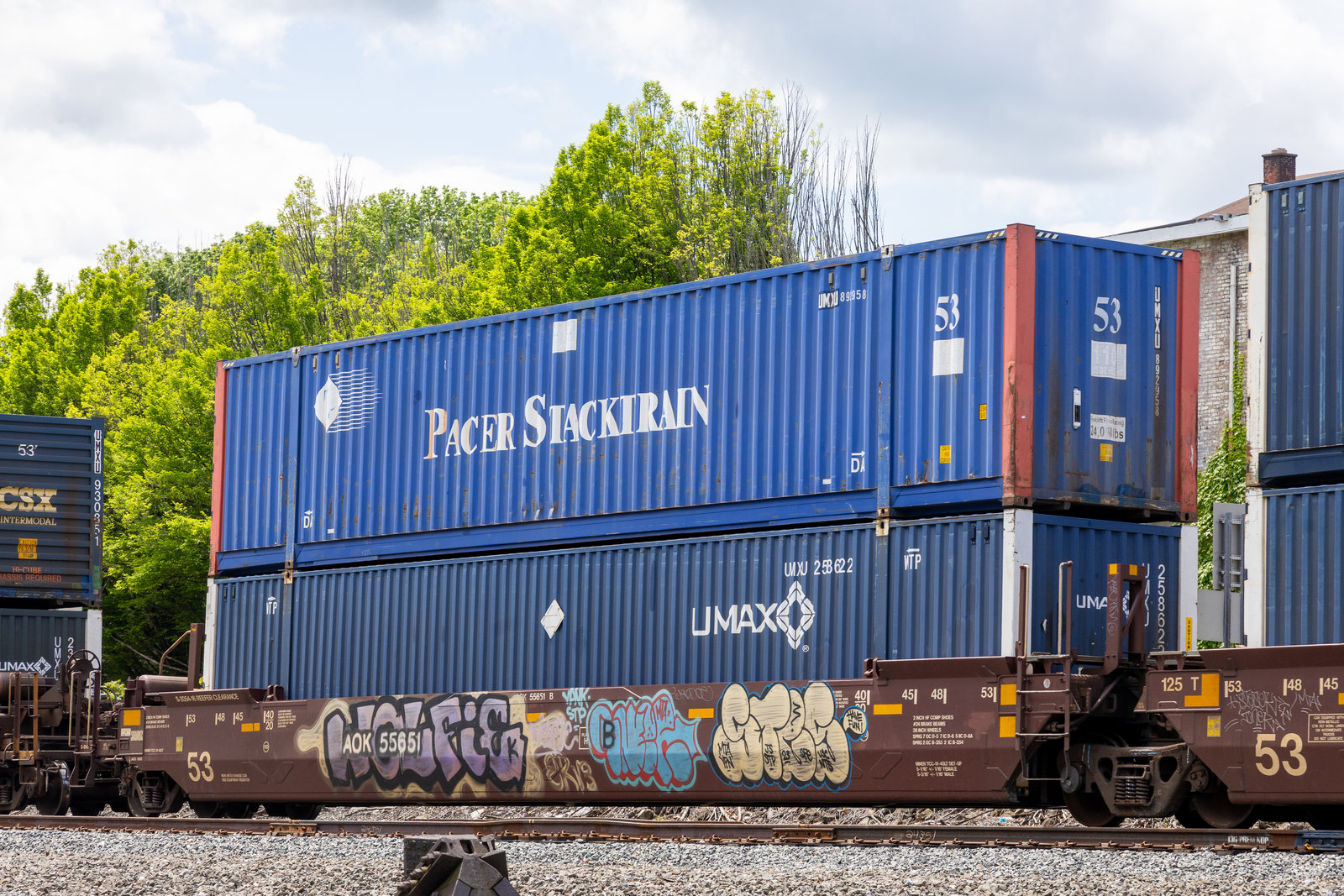 AOK 55651B