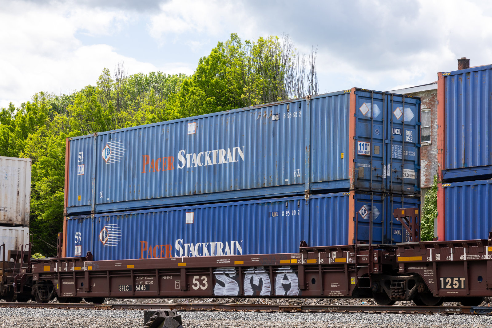 SFLC 6445A