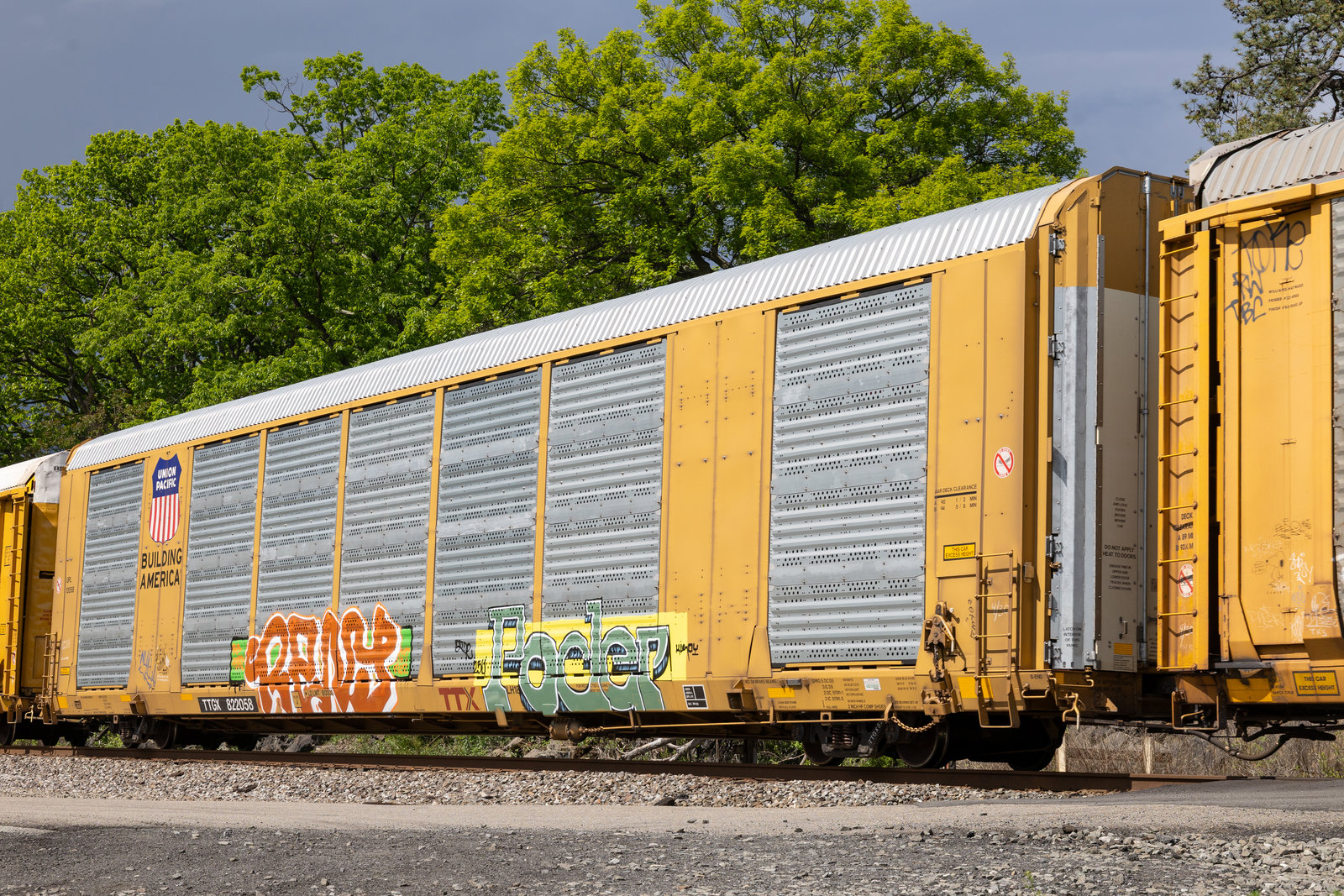 TTGX 822058