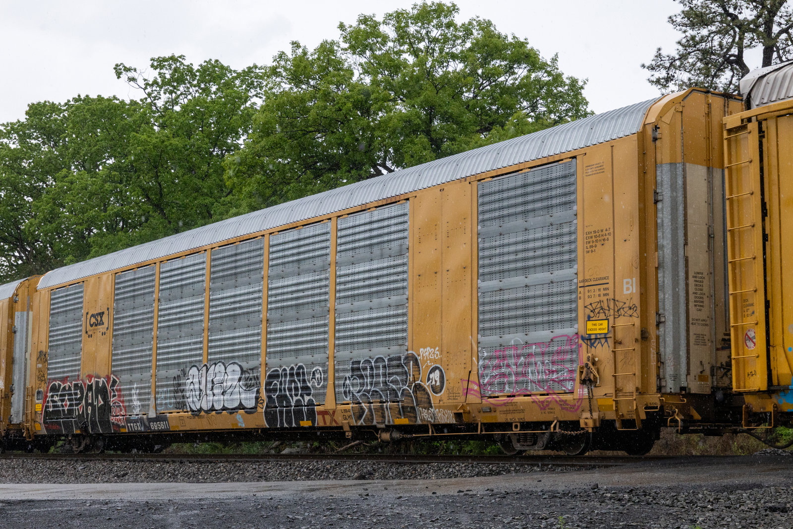 TTGX 695611