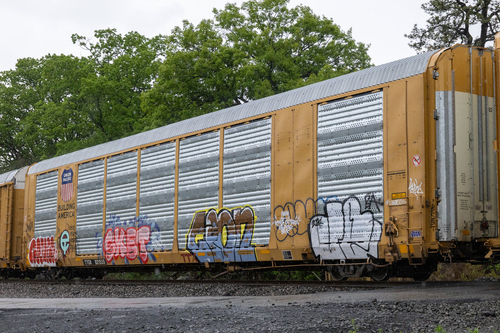 TTGX 821535