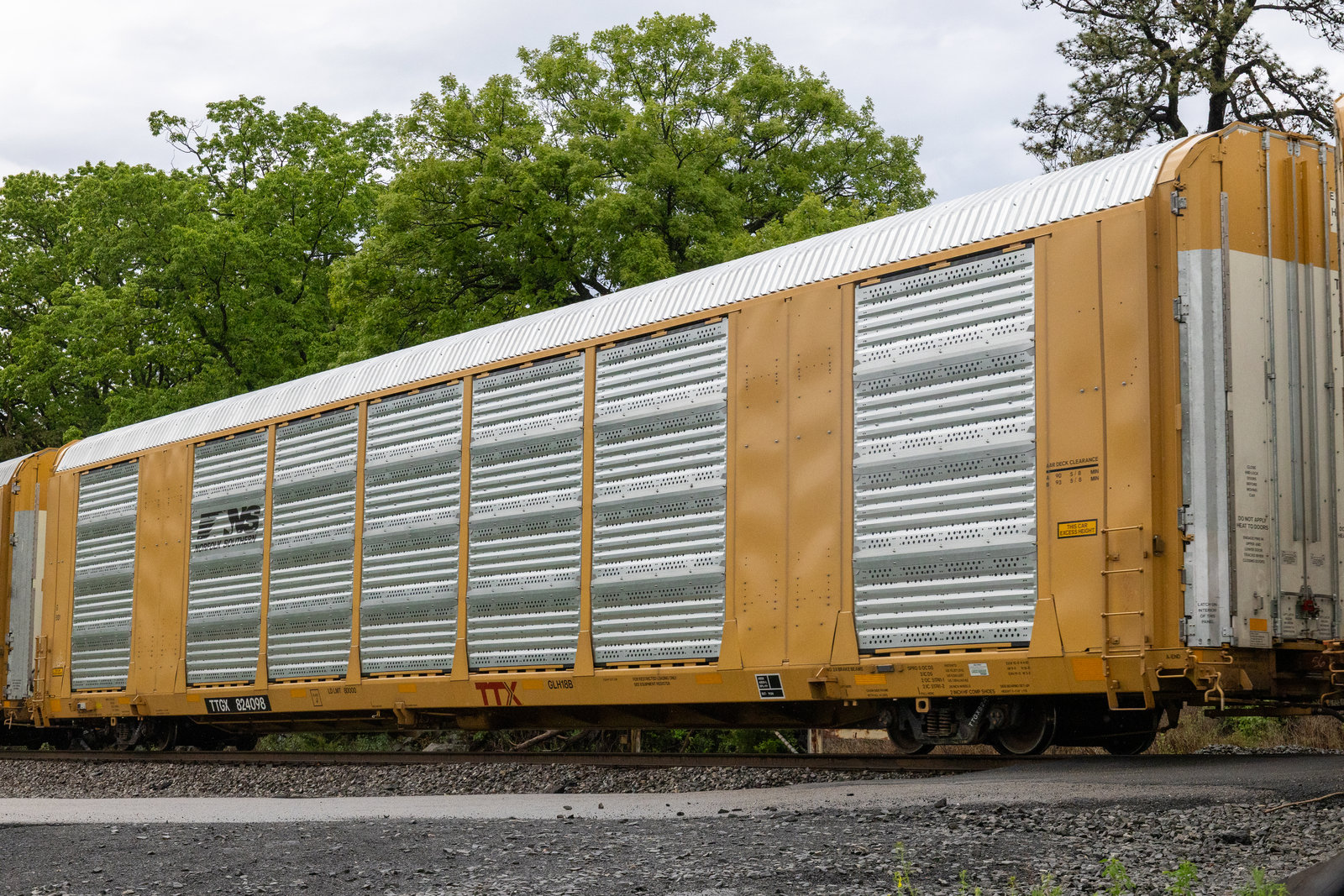 TTGX 824098