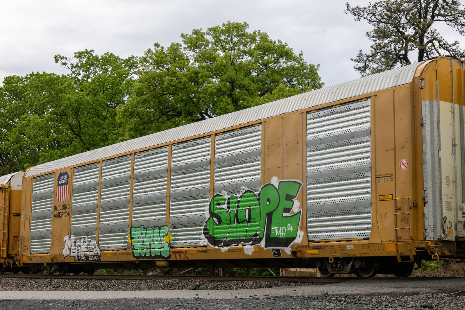 TTGX 821469