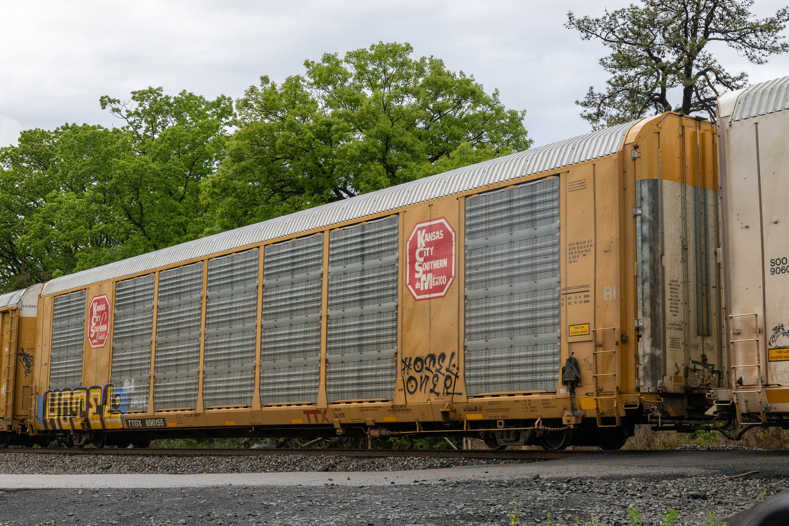 TTGX 696155